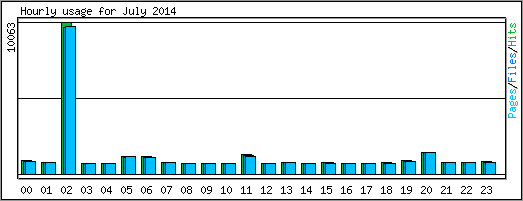 Hourly usage