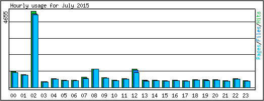 Hourly usage