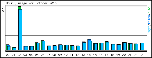 Hourly usage