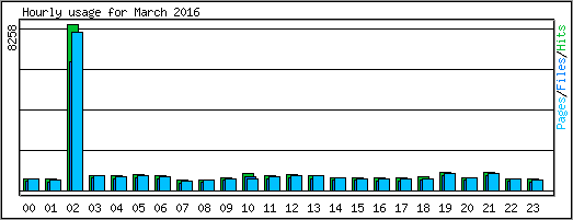 Hourly usage
