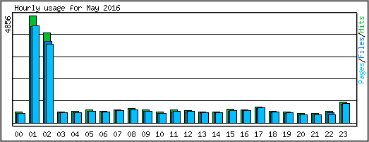 Hourly usage