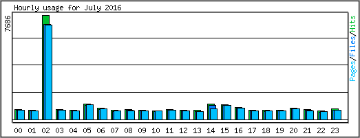 Hourly usage