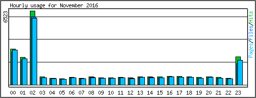 Hourly usage