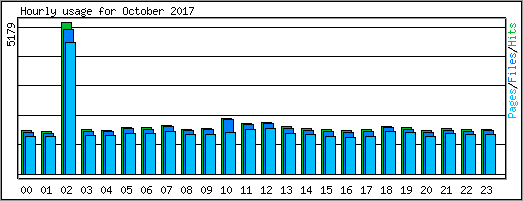 Hourly usage