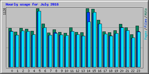 Hourly usage for July 2016